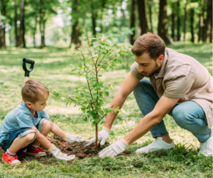 MAN AND BOY PLANTING A TREE IN THE FOREST